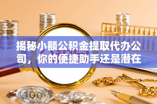 娄星揭秘小额公积金提取代办公司，你的便捷助手还是潜在风险？