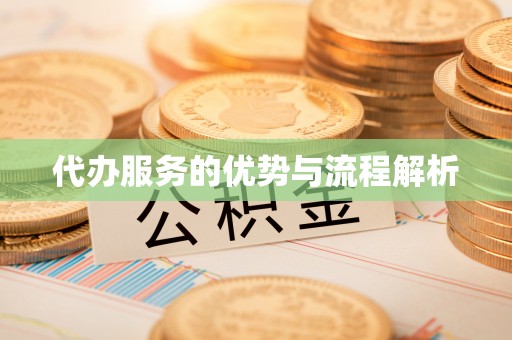 娄星代办服务的优势与流程解析
