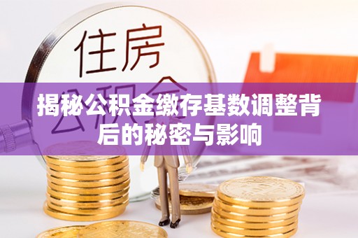 娄星揭秘公积金缴存基数调整背后的秘密与影响