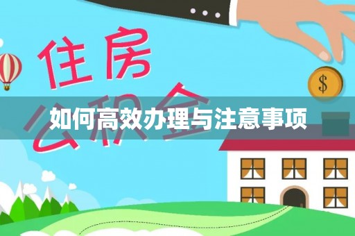 娄星如何高效办理与注意事项