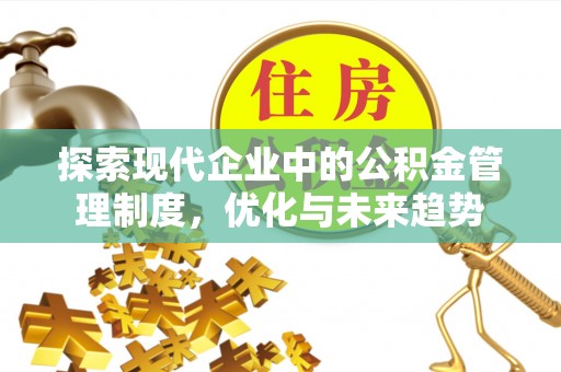 娄星探索现代企业中的公积金管理制度，优化与未来趋势