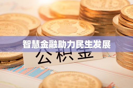 娄星智慧金融助力民生发展