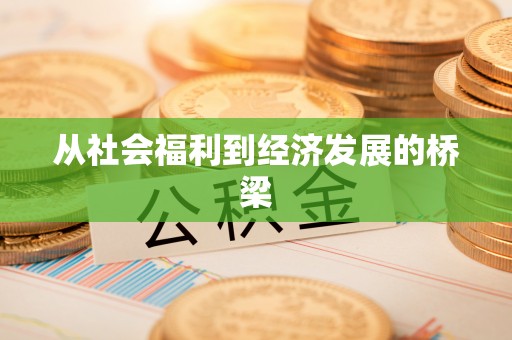娄星从社会福利到经济发展的桥梁