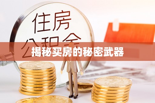 娄星揭秘买房的秘密武器
