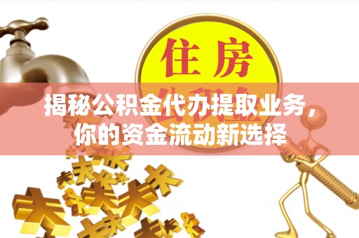 娄星揭秘公积金代办提取业务，你的资金流动新选择