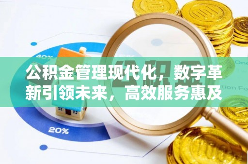 娄星公积金管理现代化，数字革新引领未来，高效服务惠及民生