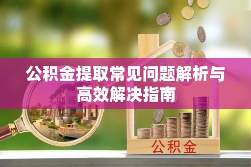 娄星公积金提取常见问题解析与高效解决指南
