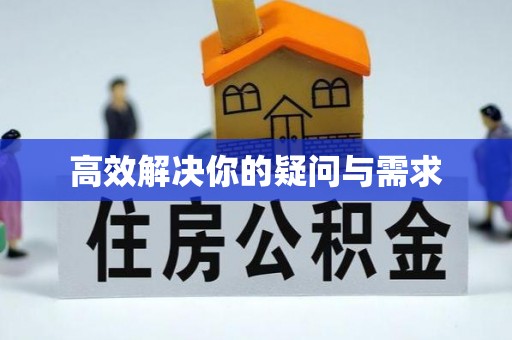 娄星高效解决你的疑问与需求