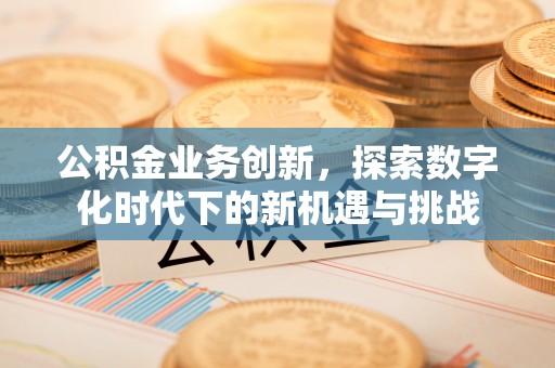娄星公积金业务创新，探索数字化时代下的新机遇与挑战