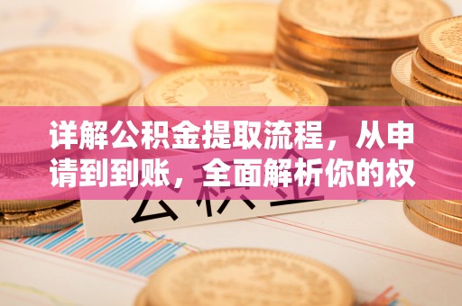 娄星详解公积金提取流程，从申请到到账，全面解析你的权益与操作步骤