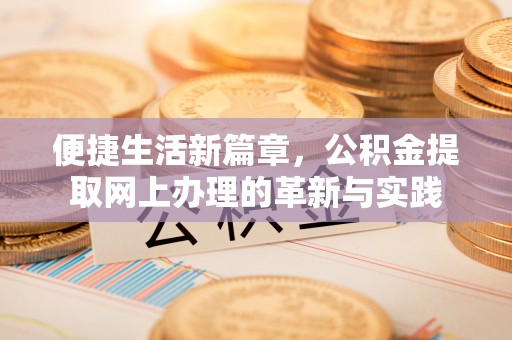 娄星便捷生活新篇章，公积金提取网上办理的革新与实践