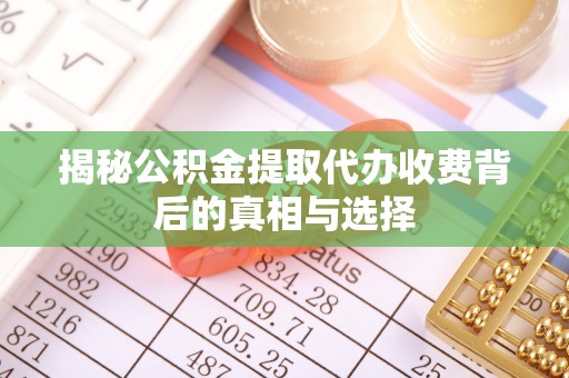 娄星揭秘公积金提取代办收费背后的真相与选择
