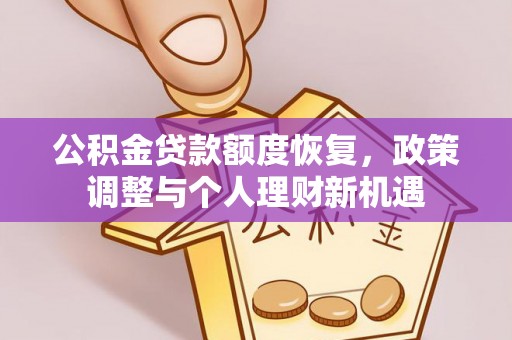 娄星公积金贷款额度恢复，政策调整与个人理财新机遇