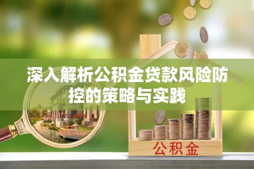 娄星深入解析公积金贷款风险防控的策略与实践