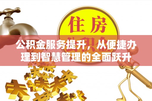 娄星公积金服务提升，从便捷办理到智慧管理的全面跃升