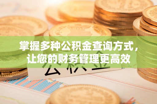 娄星掌握多种公积金查询方式，让您的财务管理更高效