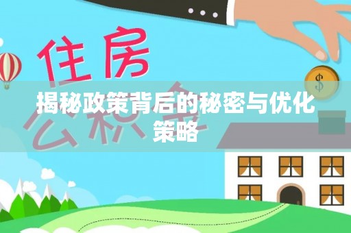 娄星揭秘政策背后的秘密与优化策略