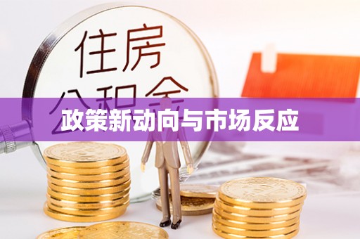 娄星政策新动向与市场反应
