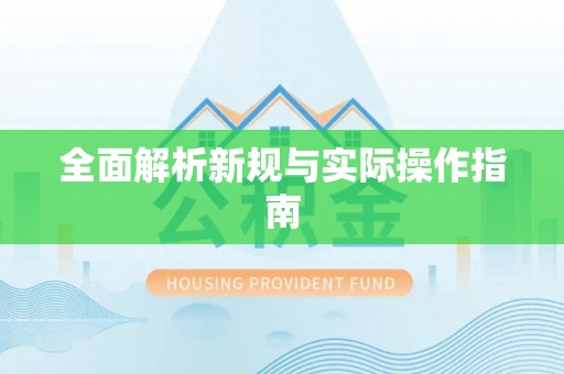 娄星全面解析新规与实际操作指南