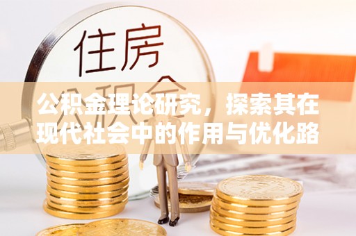 娄星公积金理论研究，探索其在现代社会中的作用与优化路径
