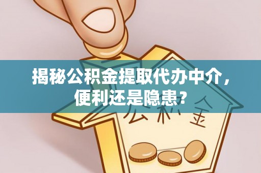 娄星揭秘公积金提取代办中介，便利还是隐患？