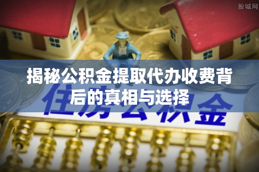 娄星揭秘公积金提取代办收费背后的真相与选择