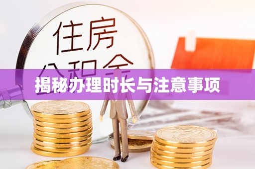 娄星揭秘办理时长与注意事项