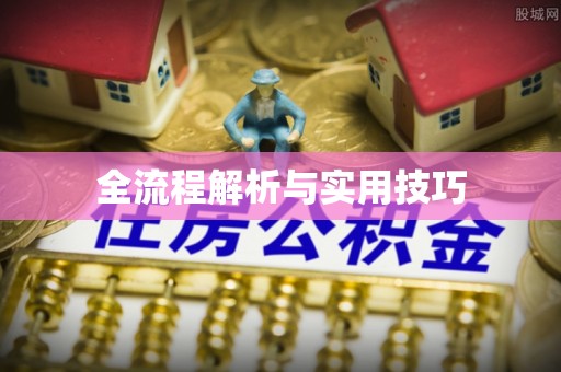 娄星全流程解析与实用技巧