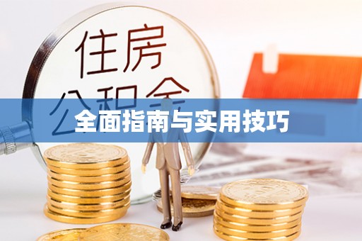 娄星全面指南与实用技巧