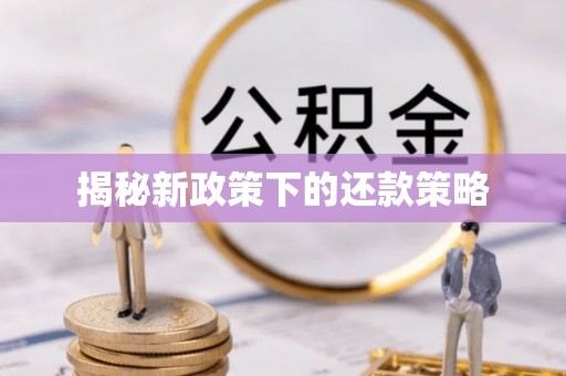 娄星揭秘新政策下的还款策略
