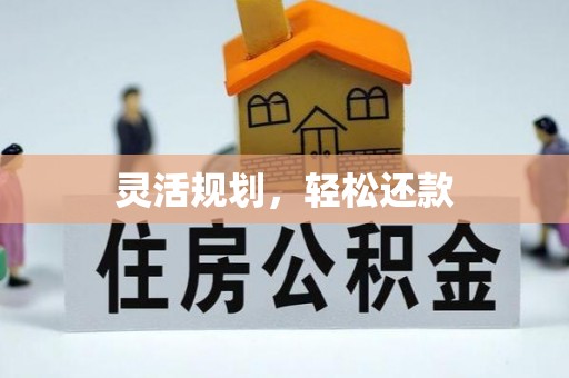 娄星灵活规划，轻松还款