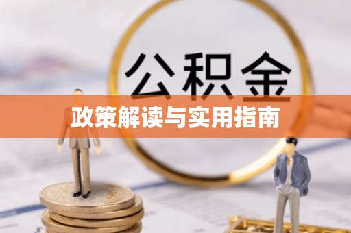 娄星政策解读与实用指南