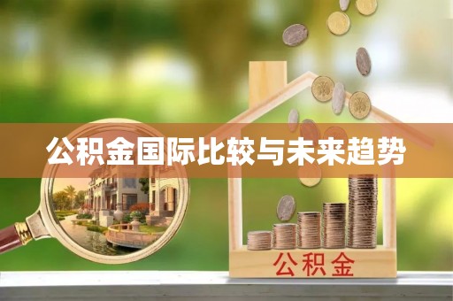 娄星公积金国际比较与未来趋势