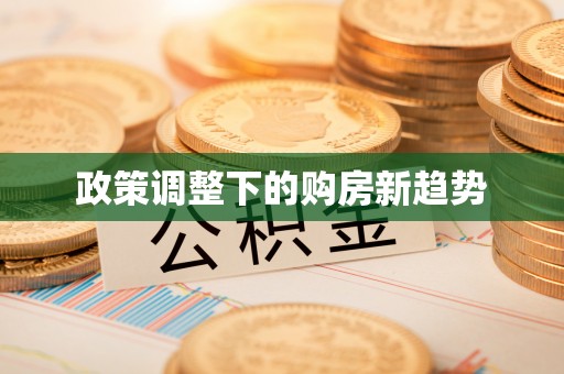 娄星政策调整下的购房新趋势