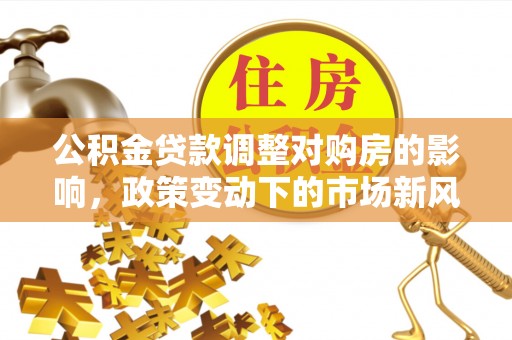 娄星公积金贷款调整对购房的影响，政策变动下的市场新风向