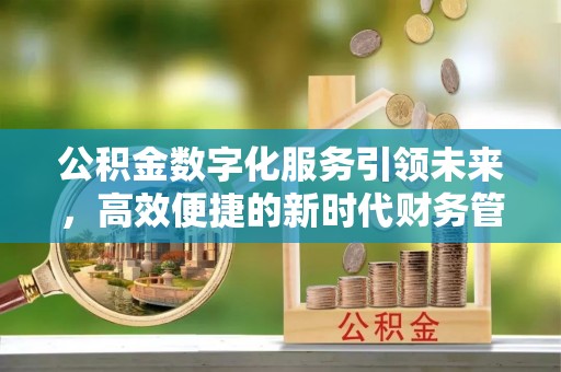 娄星公积金数字化服务引领未来，高效便捷的新时代财务管理