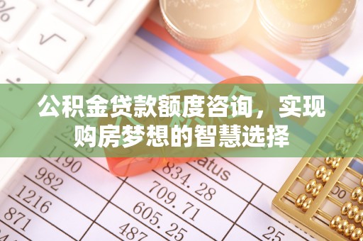 娄星公积金贷款额度咨询，实现购房梦想的智慧选择