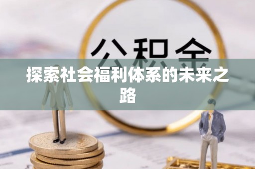 娄星探索社会福利体系的未来之路
