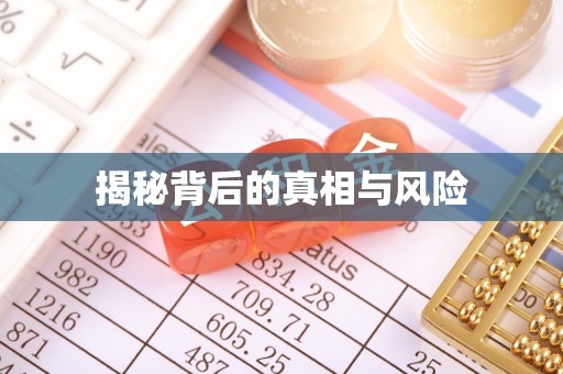 娄星揭秘背后的真相与风险