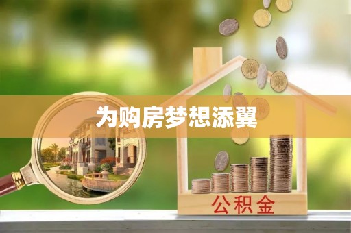 娄星为购房梦想添翼