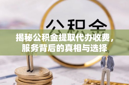 娄星揭秘公积金提取代办收费，服务背后的真相与选择