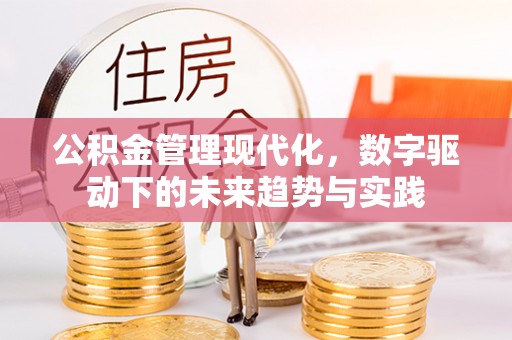 娄星公积金管理现代化，数字驱动下的未来趋势与实践