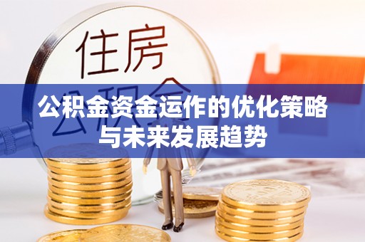 娄星公积金资金运作的优化策略与未来发展趋势