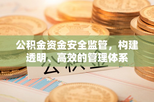 娄星公积金资金安全监管，构建透明、高效的管理体系
