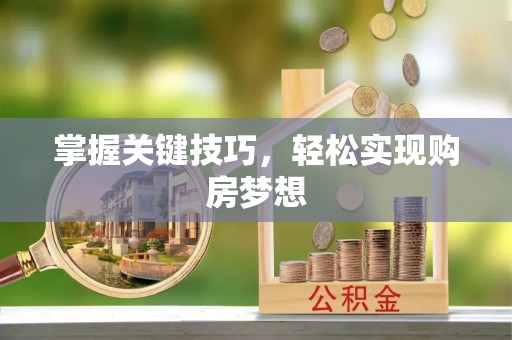 娄星掌握关键技巧，轻松实现购房梦想