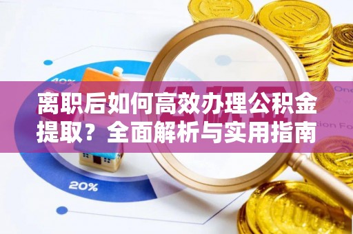 娄星离职后如何高效办理公积金提取？全面解析与实用指南