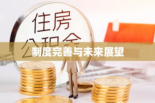 娄星制度完善与未来展望