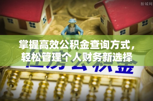 娄星掌握高效公积金查询方式，轻松管理个人财务新选择