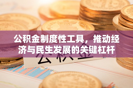 娄星公积金制度性工具，推动经济与民生发展的关键杠杆