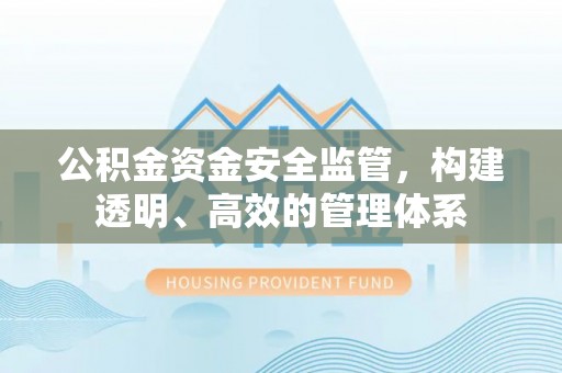 娄星公积金资金安全监管，构建透明、高效的管理体系